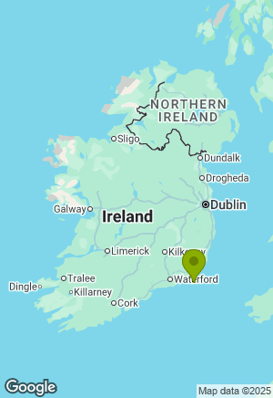 Staffordshire Bull Terrier for sale in Wexford