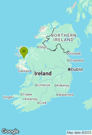 Golden Retriever for sale in Mayo