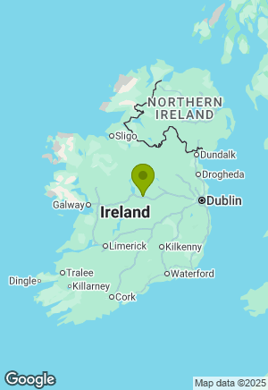 Newfoundland for sale in Westmeath