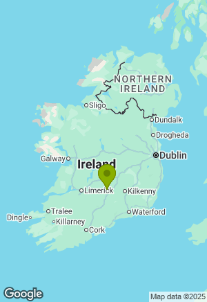 German Shepherd for sale in Tipperary