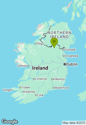 Border Collie for sale in Cavan