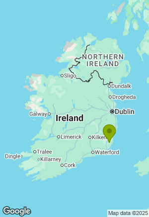 Schnauzer for sale in Wexford