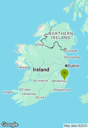 West Highland Terrier for sale in Wexford