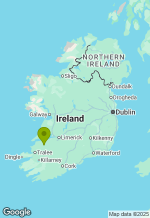 Dachshund for sale in Limerick