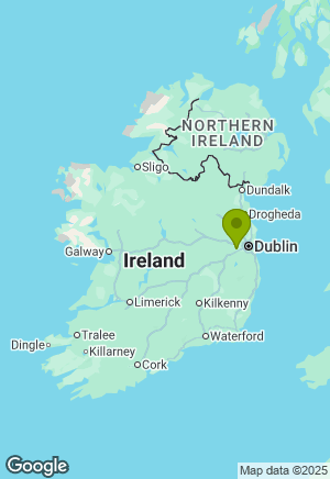 Dachshund for sale in Dublin