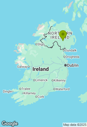 Dalmatian for sale in Armagh
