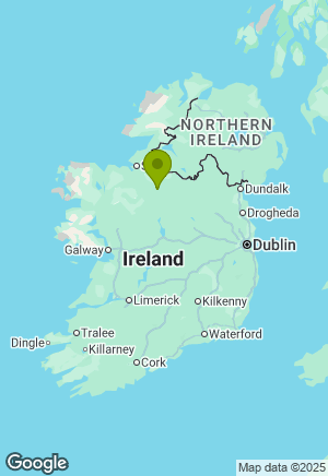 Cavalier King Charles Spaniel for sale in Leitrim