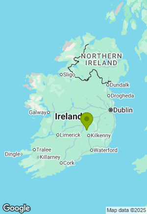 Labrador for sale in Kilkenny