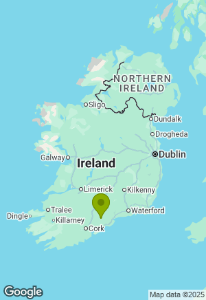 Border Collie for sale in Waterford