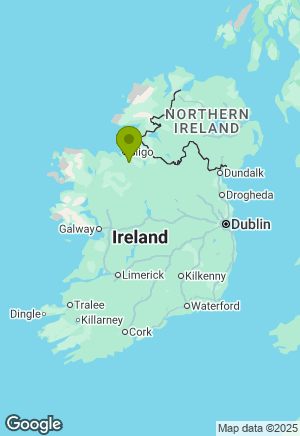 German Shepherd for sale in Sligo