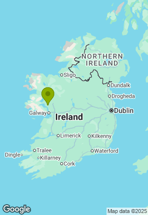 Bernese Mountain Dog for sale in Galway