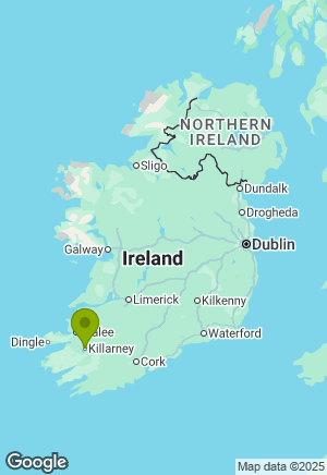 Schnauzer for sale in Kerry
