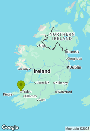 Boxer for sale in Kerry