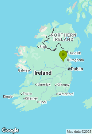 Russian Toy Terrier for sale in Meath