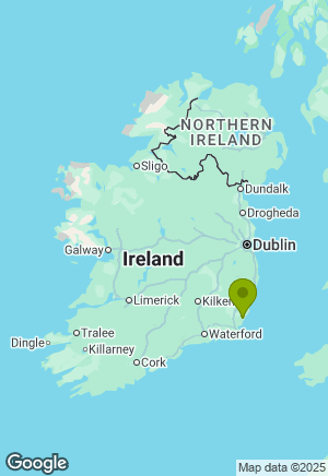 Cavalier King Charles Spaniel for sale in Wexford