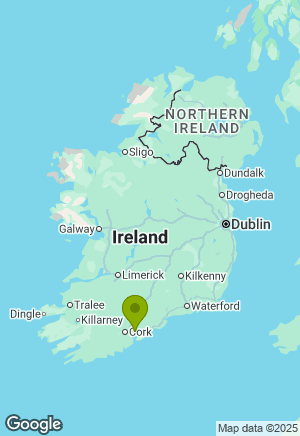 Sprocker for sale in Cork
