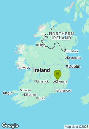 German Shepherd for sale in Carlow