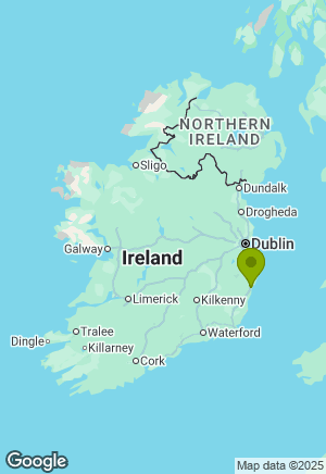Bernese Mountain Dog for sale in Wicklow