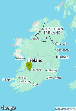 Cairn Terrier for sale in Limerick
