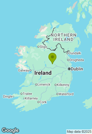 German Shepherd for sale in Westmeath