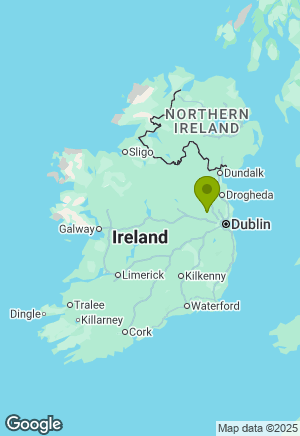 Boxer for sale in Meath
