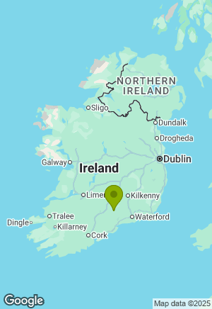 Belgian Shepherd / Malinois for sale in Tipperary