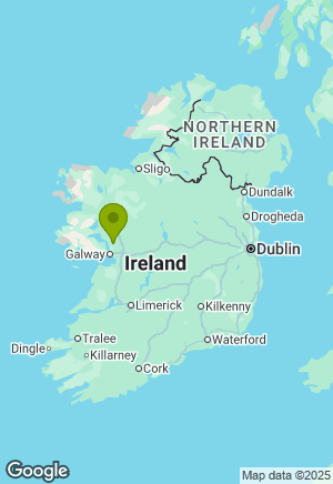 Border Collie for sale in Galway