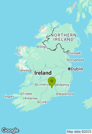 Border Collie for sale in Tipperary