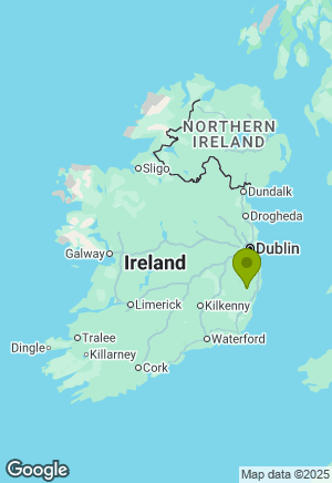 Border Collie for sale in Wicklow