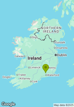 German Shepherd for sale in Kilkenny