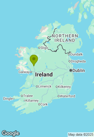 Golden Retriever for sale in Galway