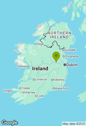 Schnauzer for sale in Meath