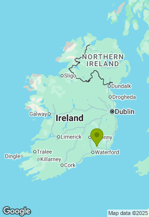 Border Collie for sale in Wexford