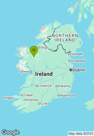 Siberian Husky for sale in Mayo