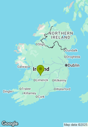 German Shepherd for sale in Tipperary