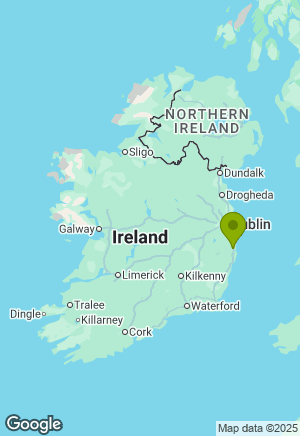 Border Collie for sale in Wicklow