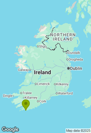 Labrador for sale in Cork