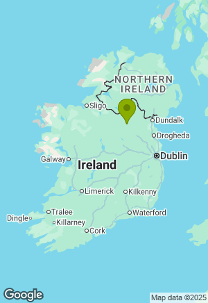 Border Collie for sale in Cavan