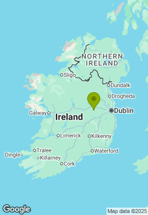 Border Collie for sale in Offaly