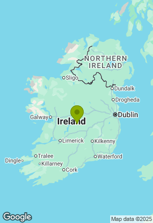 Siberian Husky for sale in Offaly