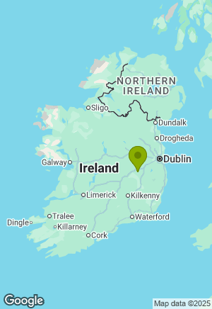 Border Collie for sale in Kildare
