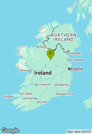Border Collie for sale in Longford