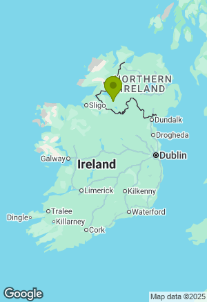 Bernedoodle for sale in Fermanagh