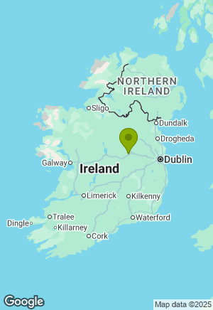 Dobermann for sale in Westmeath