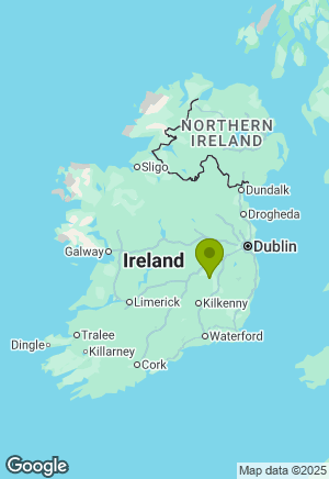 Puggle for sale in Laois