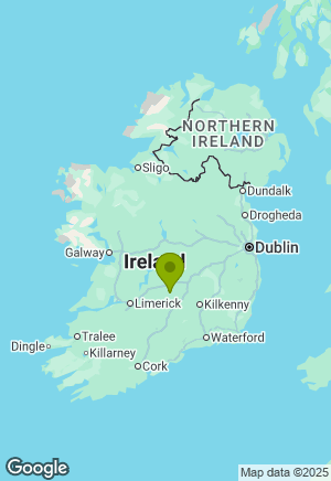 Border Collie for sale in Tipperary