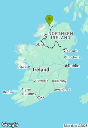 Irish Setter for sale in Donegal
