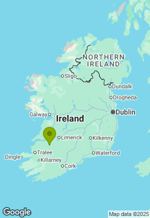 Cavapoo for sale in Limerick