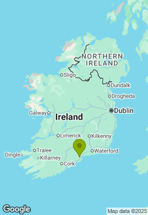 Jack Russell for sale in Waterford