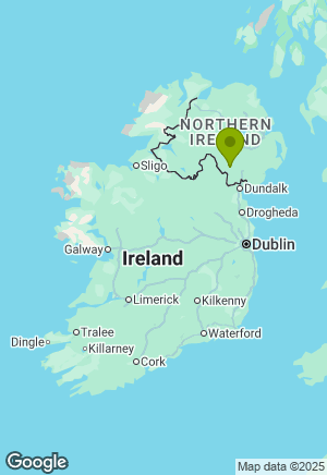 German Shepherd for sale in Armagh